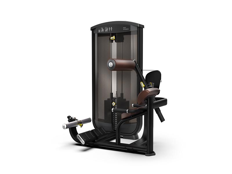 Intenza Fitness  EaseLine - Back Extension / Rückenstrecker
