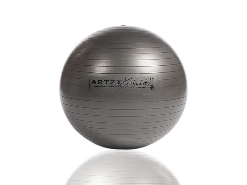 ARTZT vitality Fitness Ball Professional 